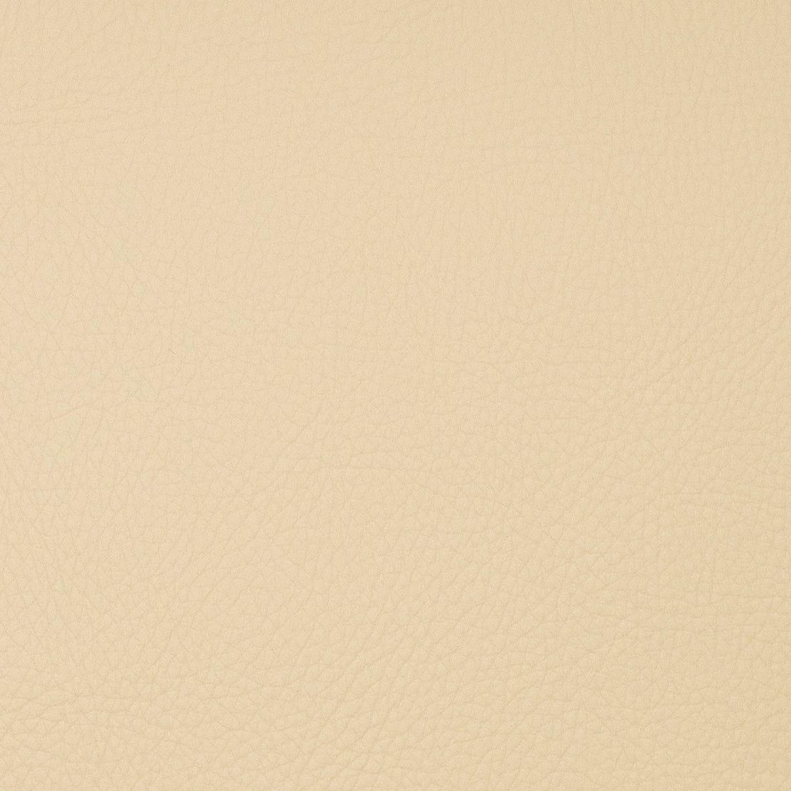 Eade’s VOYAGER PARSNIP PARSNIP