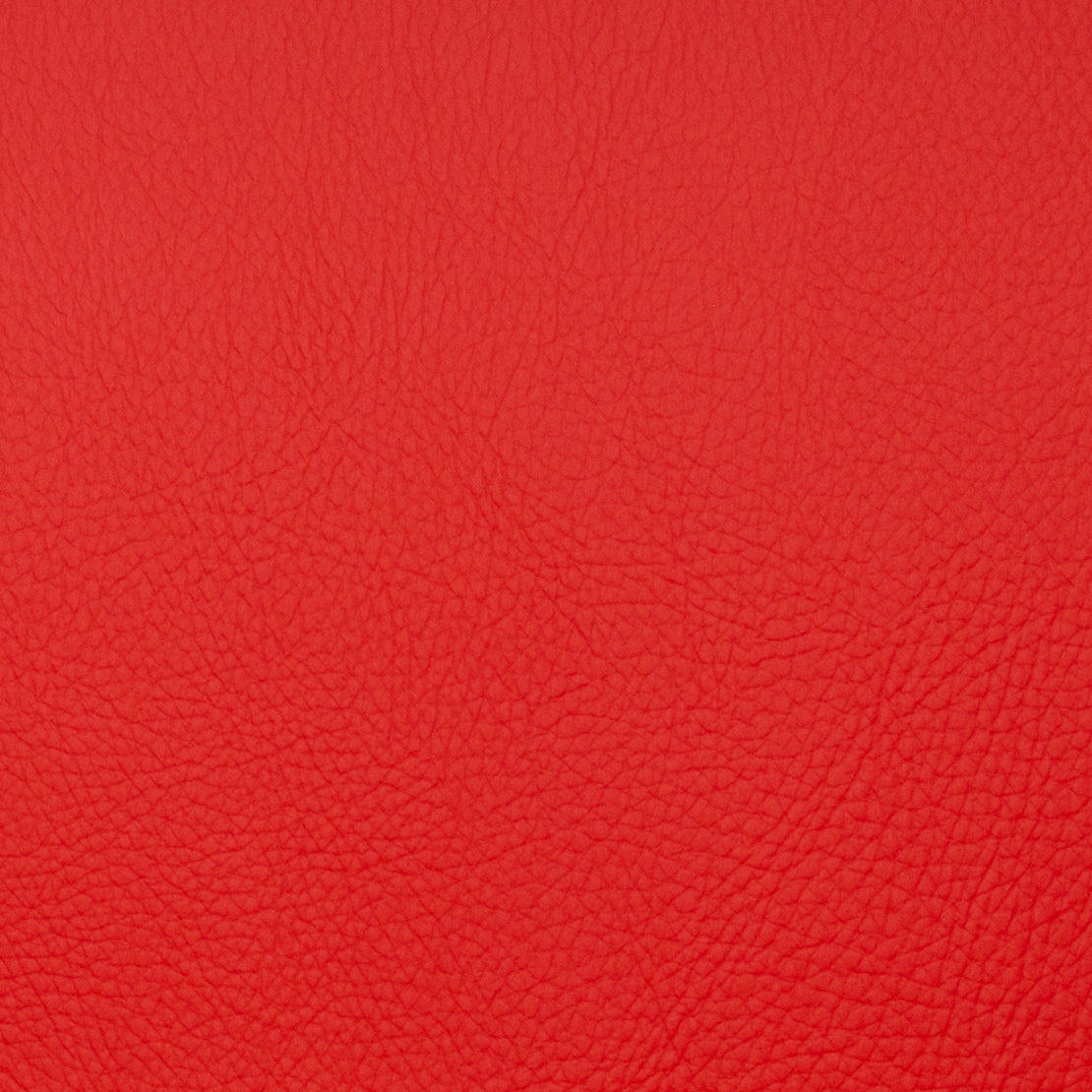 Eade’s VOYAGER TOMATO TOMATO