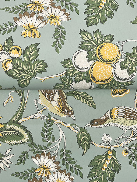 Eade’s Parterre Blue Dawn