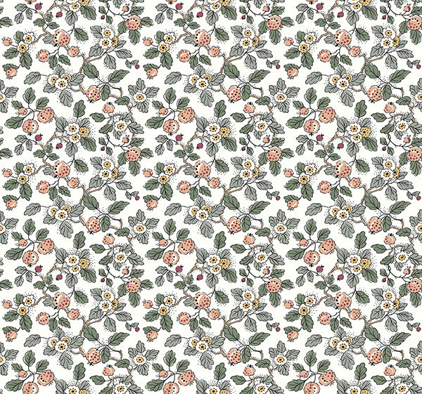 Eade’s Framboise Salmon & Eucalyptus