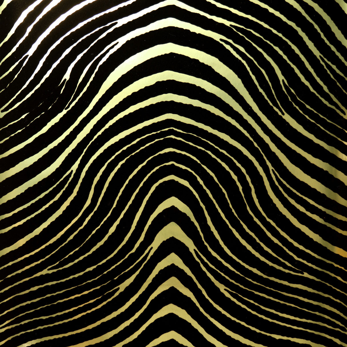 Astek VV313-251 Zebra Stripes