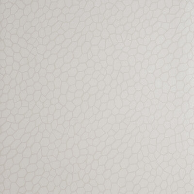 CLARKE AND CLARKE W0058/04.CAC.0 PLAYA PARCHMENT Wallpaper - Eade's Wallpaper