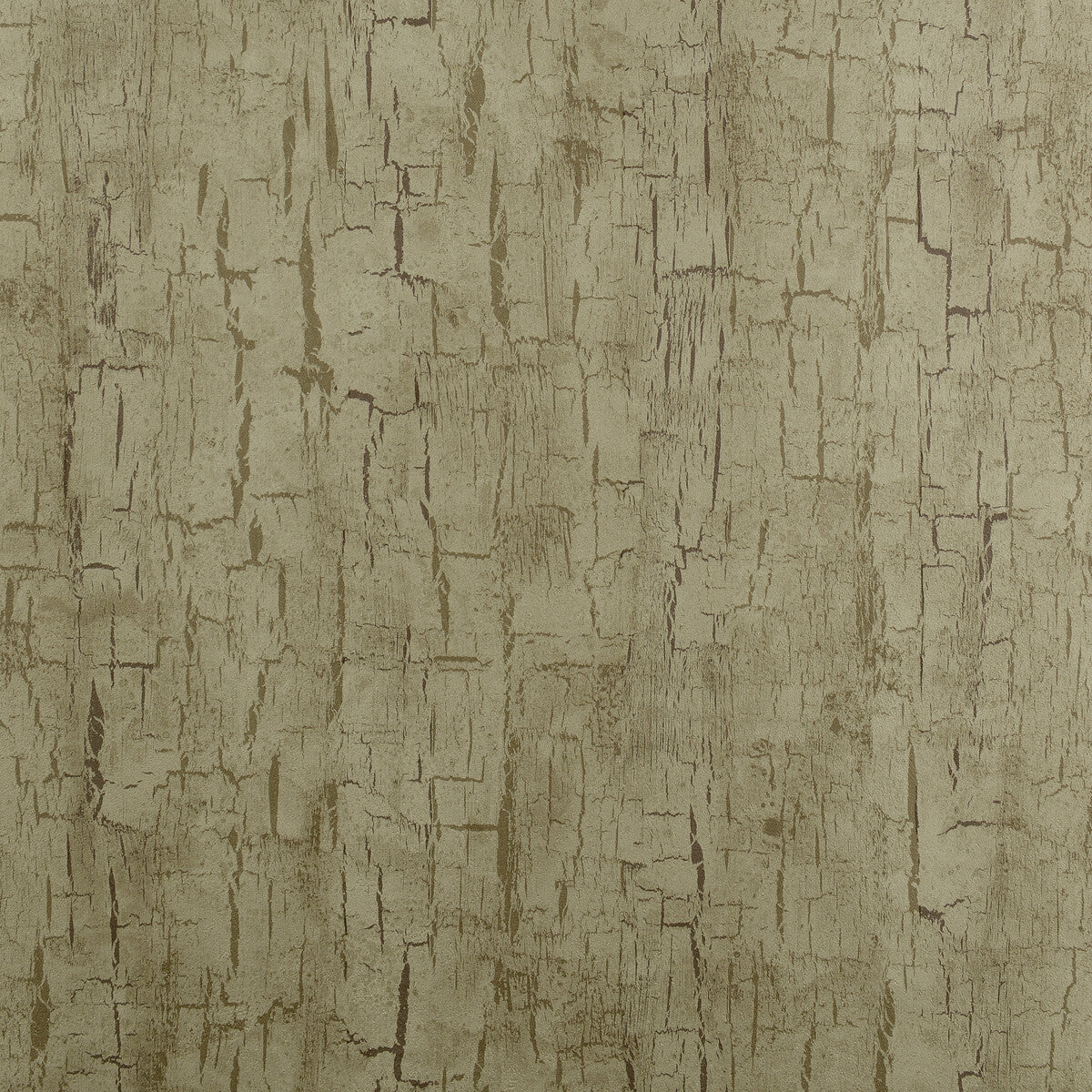 CLARKE AND CLARKE W0062/01.CAC.0 TREE BARK ANTIQUE Wallpaper - Eade's Wallpaper