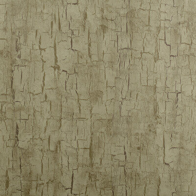 CLARKE AND CLARKE W0062/01.CAC.0 TREE BARK ANTIQUE Wallpaper - Eade's Wallpaper