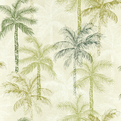 CLARKE AND CLARKE W0189/04.CAC.0 PALMYRA PALM WP Wallpaper - Eade's Wallpaper