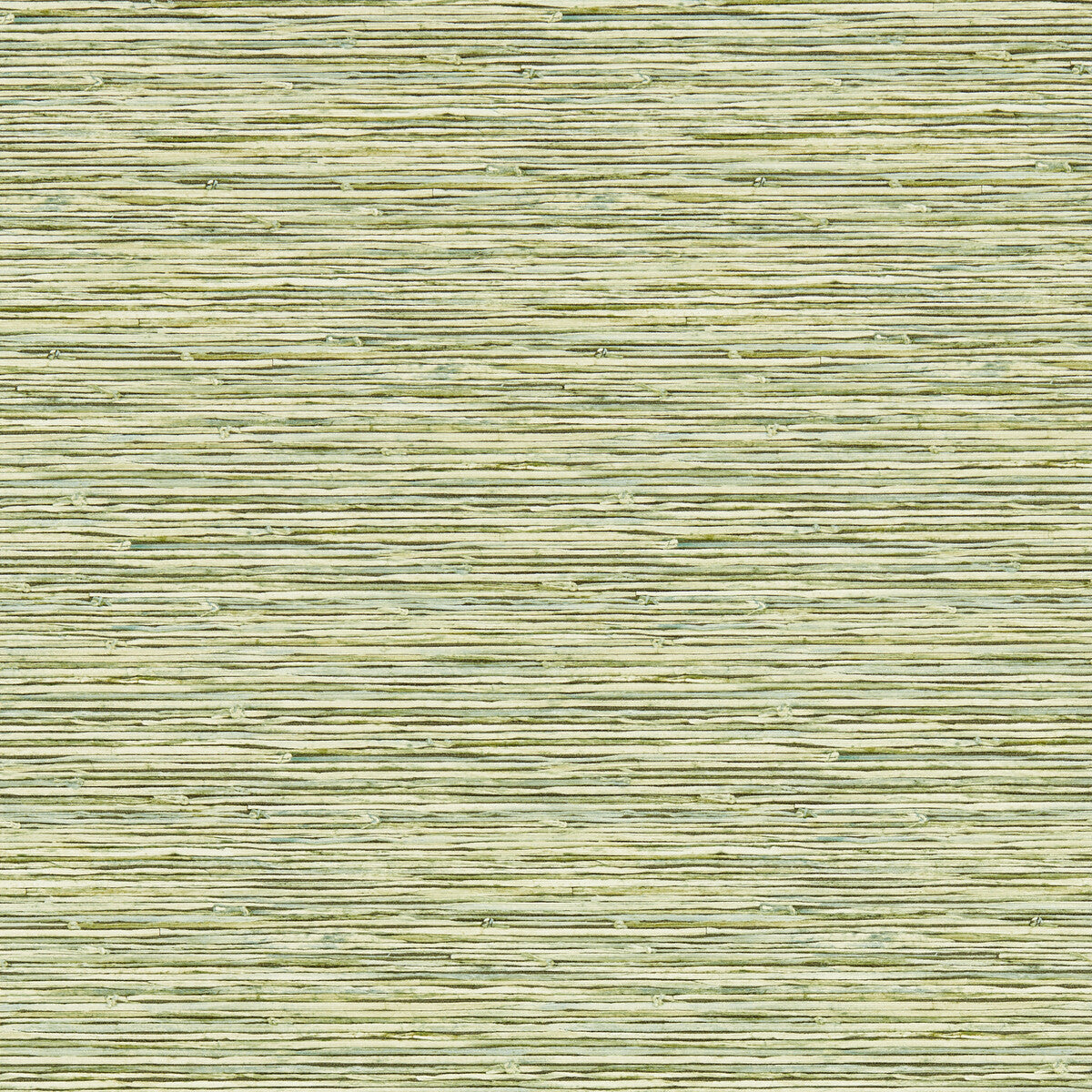 CLARKE AND CLARKE W0192/04.CAC.0 XAN PALM WP Wallpaper - Eade's Wallpaper