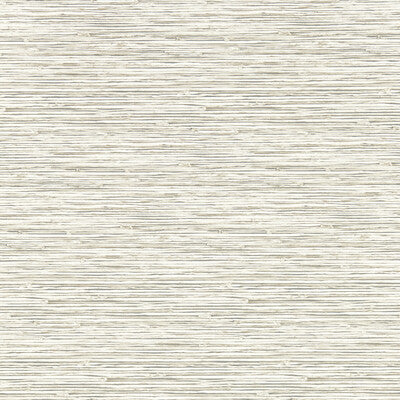 CLARKE AND CLARKE W0192/05.CAC.0 XAN PARCHMENT WP Wallpaper - Eade's Wallpaper