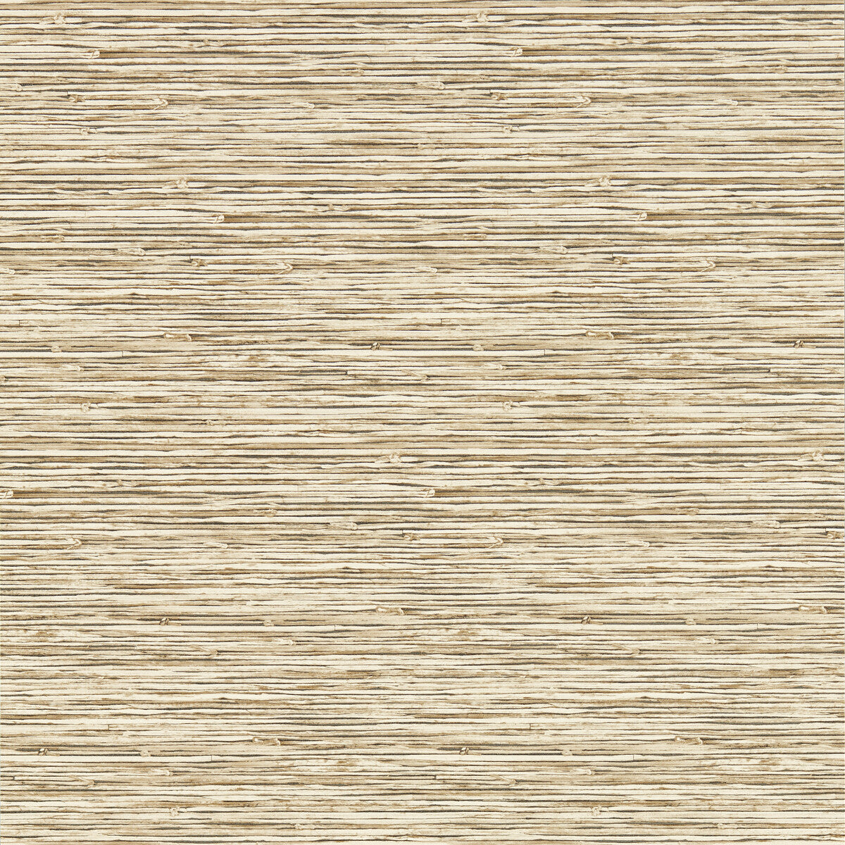 CLARKE AND CLARKE W0192/06.CAC.0 XAN SAHARA WP Wallpaper - Eade's Wallpaper