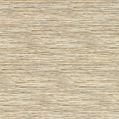 CLARKE AND CLARKE W0192/06.CAC.0 XAN SAHARA WP Wallpaper - Eade's Wallpaper