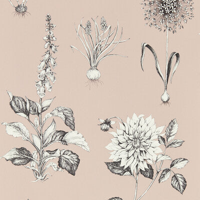 CLARKE AND CLARKE W0197/01.CAC.0 ROSERAIE BLUSH WP Wallpaper - Eade's Wallpaper