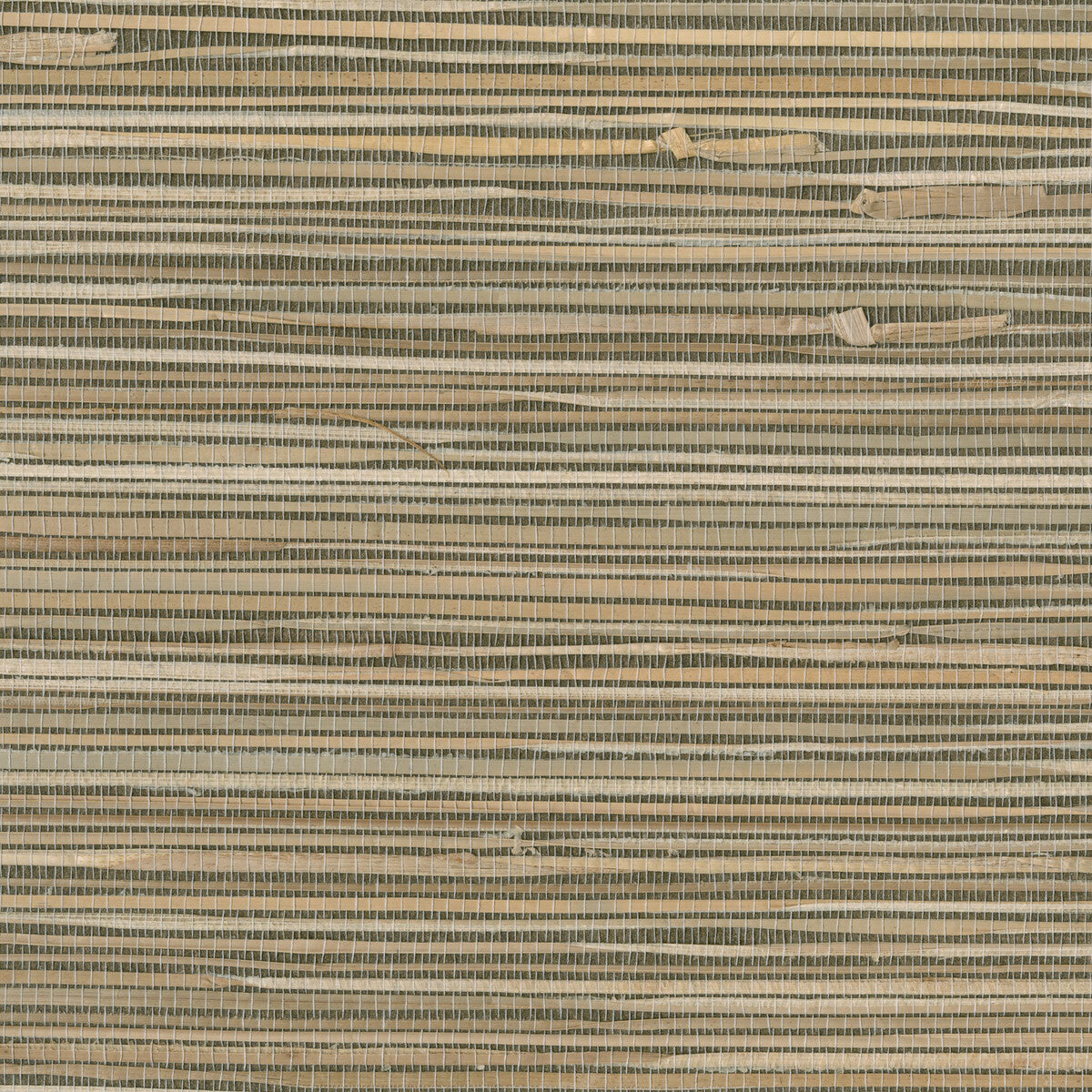KRAVET DESIGN W3277.616.0 KRAVET DESIGN W3277-616 Wallpaper - Eade's Wallpaper