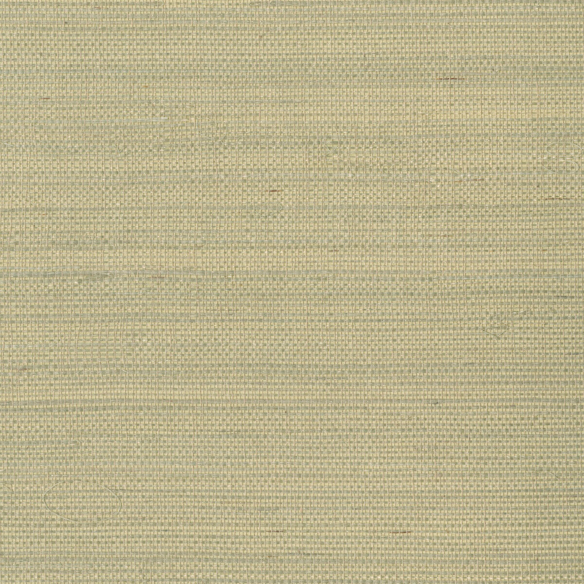 KRAVET DESIGN W3287.16.0 KRAVET DESIGN W3287-16 Wallpaper - Eade's Wallpaper