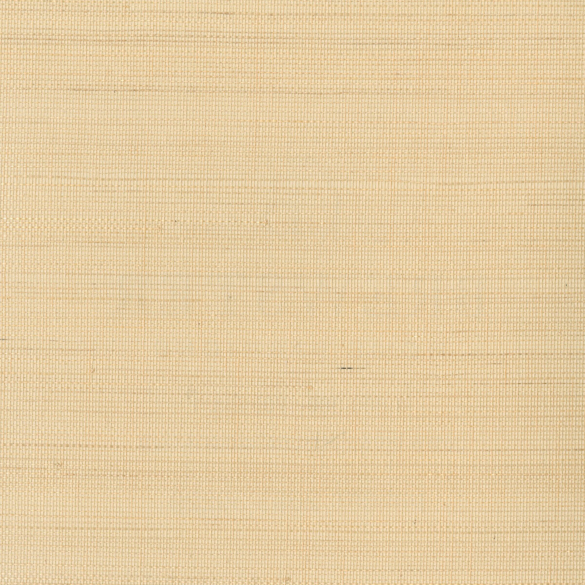 KRAVET DESIGN W3291.16.0 KRAVET DESIGN W3291-16 Wallpaper - Eade's Wallpaper