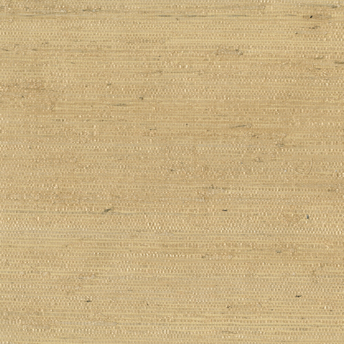 KRAVET DESIGN W3303.14.0 KRAVET DESIGN W3303-14 Wallpaper - Eade's Wallpaper