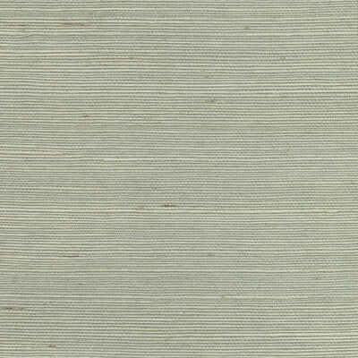 KRAVET DESIGN W3454.130.0 KRAVET DESIGN W3454-130 Wallpaper - Eade's Wallpaper