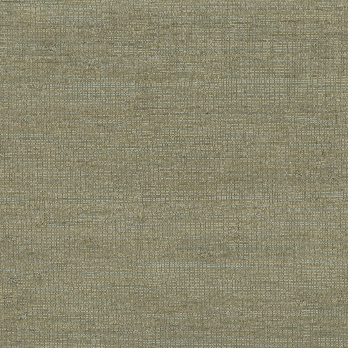 KRAVET DESIGN W3540.106.0 KRAVET DESIGN W3540-106 Wallpaper - Eade's Wallpaper