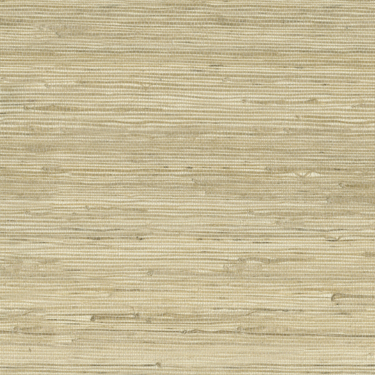 KRAVET DESIGN W3566.16.0 KRAVET DESIGN W3566-16 Wallpaper - Eade's Wallpaper