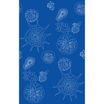 KRAVET COUTURE W3585.5.0 TELESCOPIC P NAUTICS Wallpaper - Eade's Wallpaper