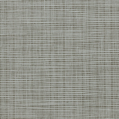 KRAVET DESIGN W3684.106.0 KRAVET DESIGN W3684-106 Wallpaper - Eade's Wallpaper