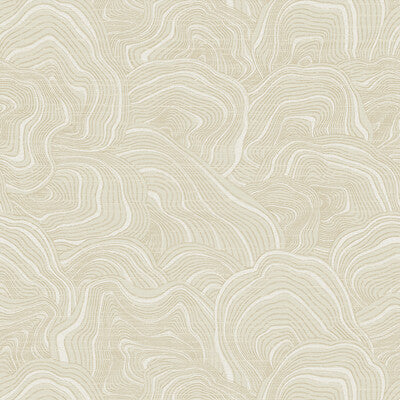 KRAVET DESIGN W3719.116.0 KRAVET DESIGN W3719-116 Wallpaper - Eade's Wallpaper