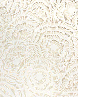 KRAVET COUTURE PANACHE WP W3823.4.0 in CHAMPAGNE Wallpaper -