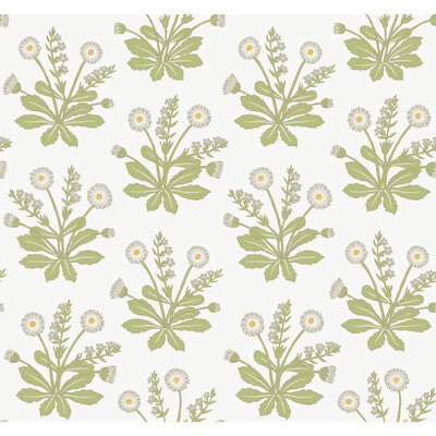 KRAVET DESIGN W3928.303.0 W3928 303 Wallpaper - Eade's Wallpaper