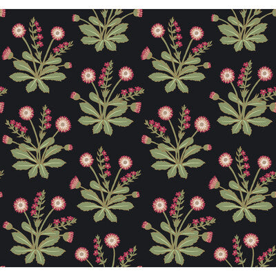 KRAVET DESIGN W3928.817.0 W3928 817 Wallpaper - Eade's Wallpaper