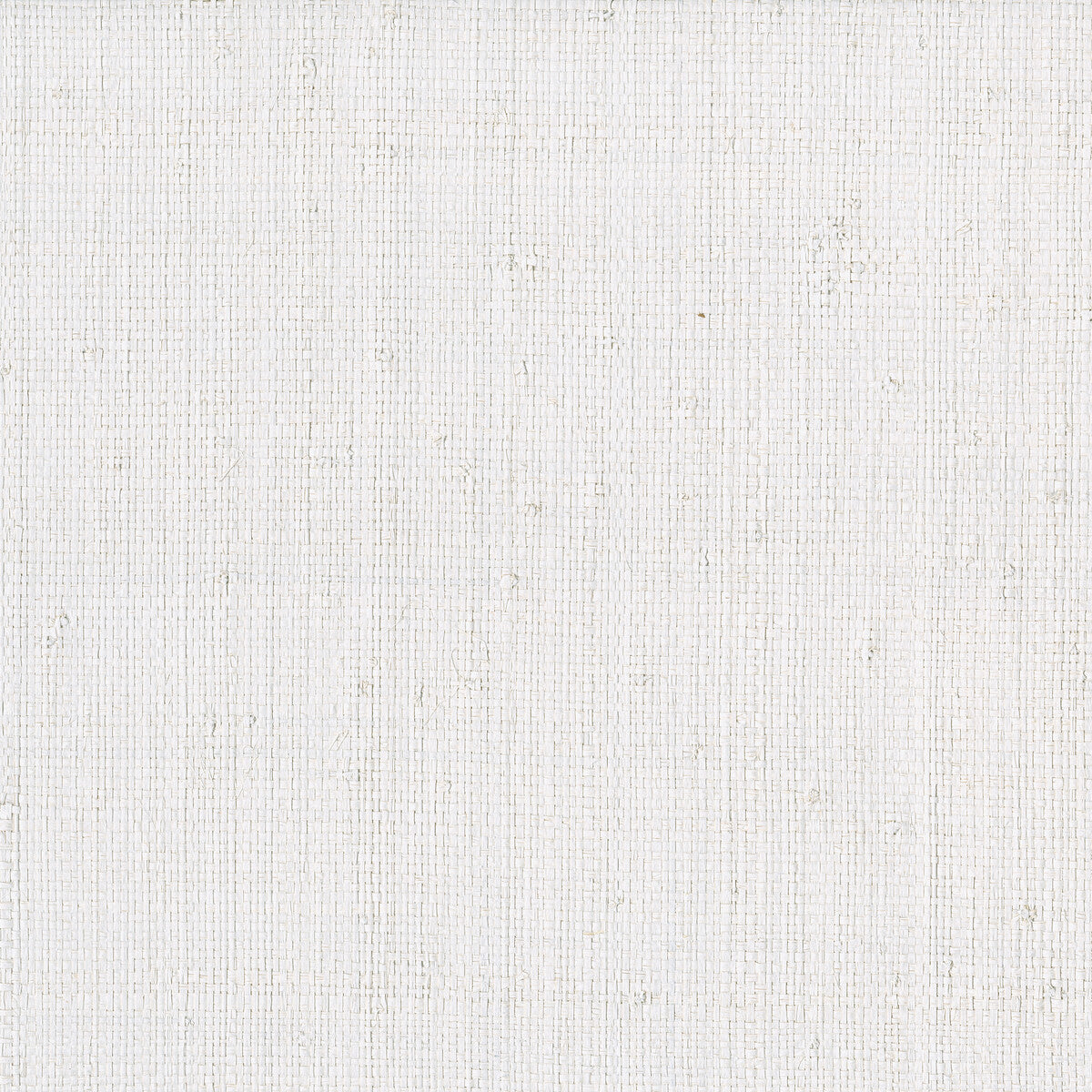 KRAVET DESIGN W3974.101.0 KRAVET DESIGN W3974-101 Wallpaper - Eade's Wallpaper