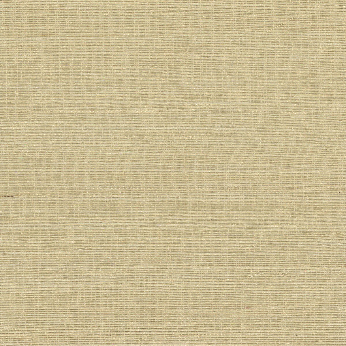 KRAVET DESIGN W4003.116.0 KRAVET DESIGN W4003-116 Wallpaper - Eade's Wallpaper