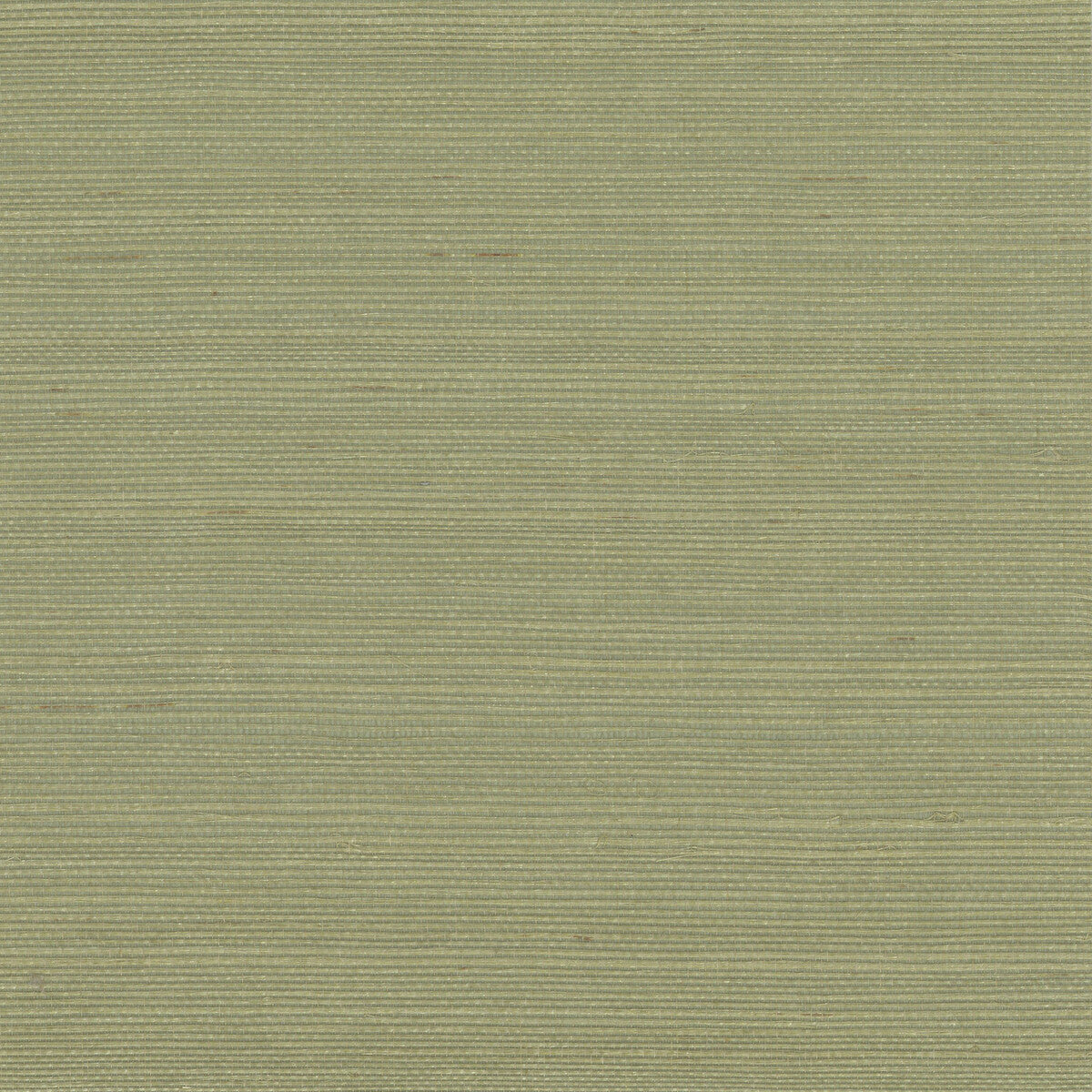 KRAVET DESIGN W4003.303.0 KRAVET DESIGN W4003-303 Wallpaper - Eade's Wallpaper