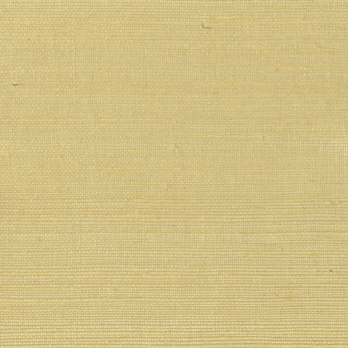 KRAVET DESIGN W4003.40.0 KRAVET DESIGN W4003-40 Wallpaper - Eade's Wallpaper