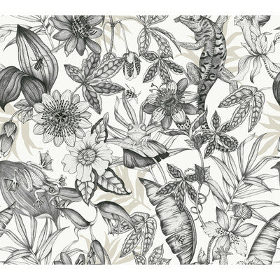 KRAVET DESIGN W4131.8.0 KRAVET DESIGN W4131-8 Wallpaper - Eade's Wallpaper