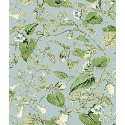 KRAVET DESIGN W4132.153.0 KRAVET DESIGN W4132-153 Wallpaper - Eade's Wallpaper