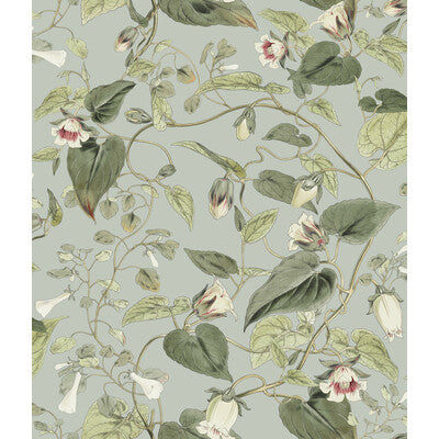 KRAVET DESIGN W4132.311.0 KRAVET DESIGN W4132-311 Wallpaper - Eade's Wallpaper