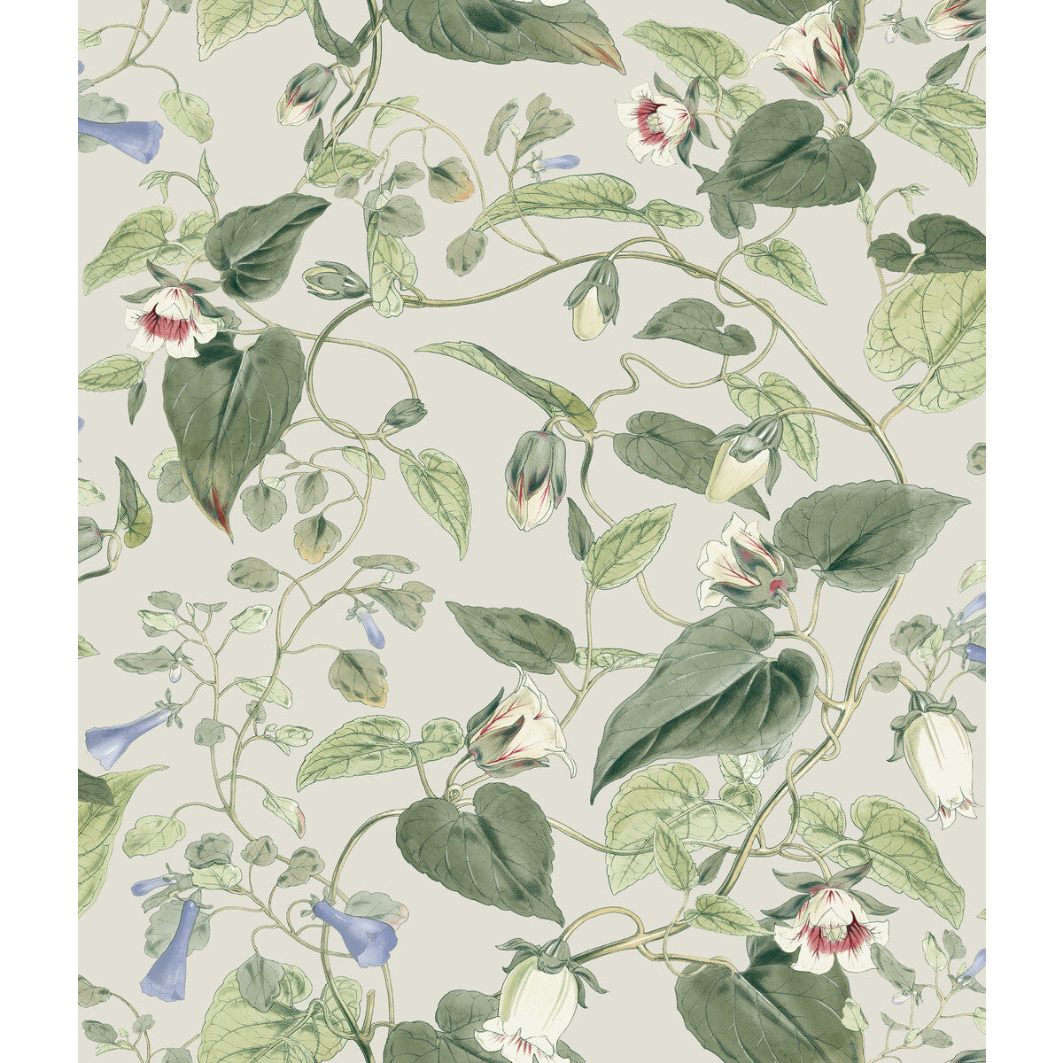 KRAVET DESIGN W4132.315.0 KRAVET DESIGN W4132-315 Wallpaper - Eade's Wallpaper