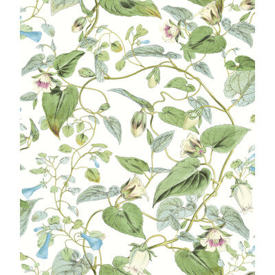 KRAVET DESIGN W4132.31.0 KRAVET DESIGN W4132-31 Wallpaper - Eade's Wallpaper