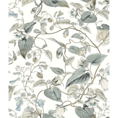 KRAVET DESIGN W4132.511.0 KRAVET DESIGN W4132-511 Wallpaper - Eade's Wallpaper