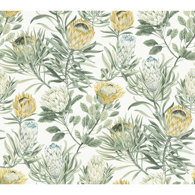 KRAVET DESIGN W4136.4.0 KRAVET DESIGN W4136-4 Wallpaper - Eade's Wallpaper