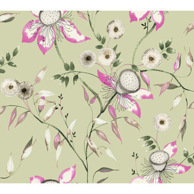 KRAVET DESIGN W4140.317.0 KRAVET DESIGN W4140-317 Wallpaper - Eade's Wallpaper