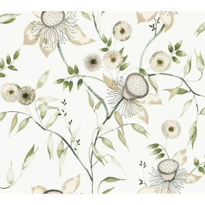 KRAVET DESIGN W4140.31.0 KRAVET DESIGN W4140-31 Wallpaper - Eade's Wallpaper
