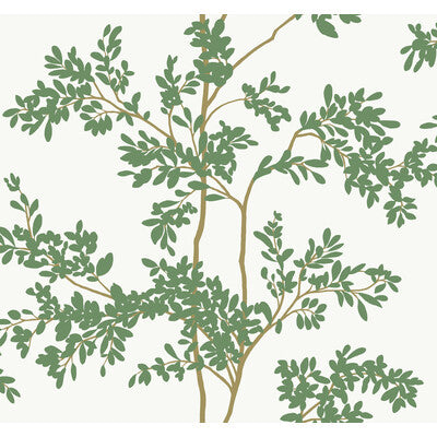 KRAVET DESIGN W4141.3.0 KRAVET DESIGN W4141-3 Wallpaper - Eade's Wallpaper