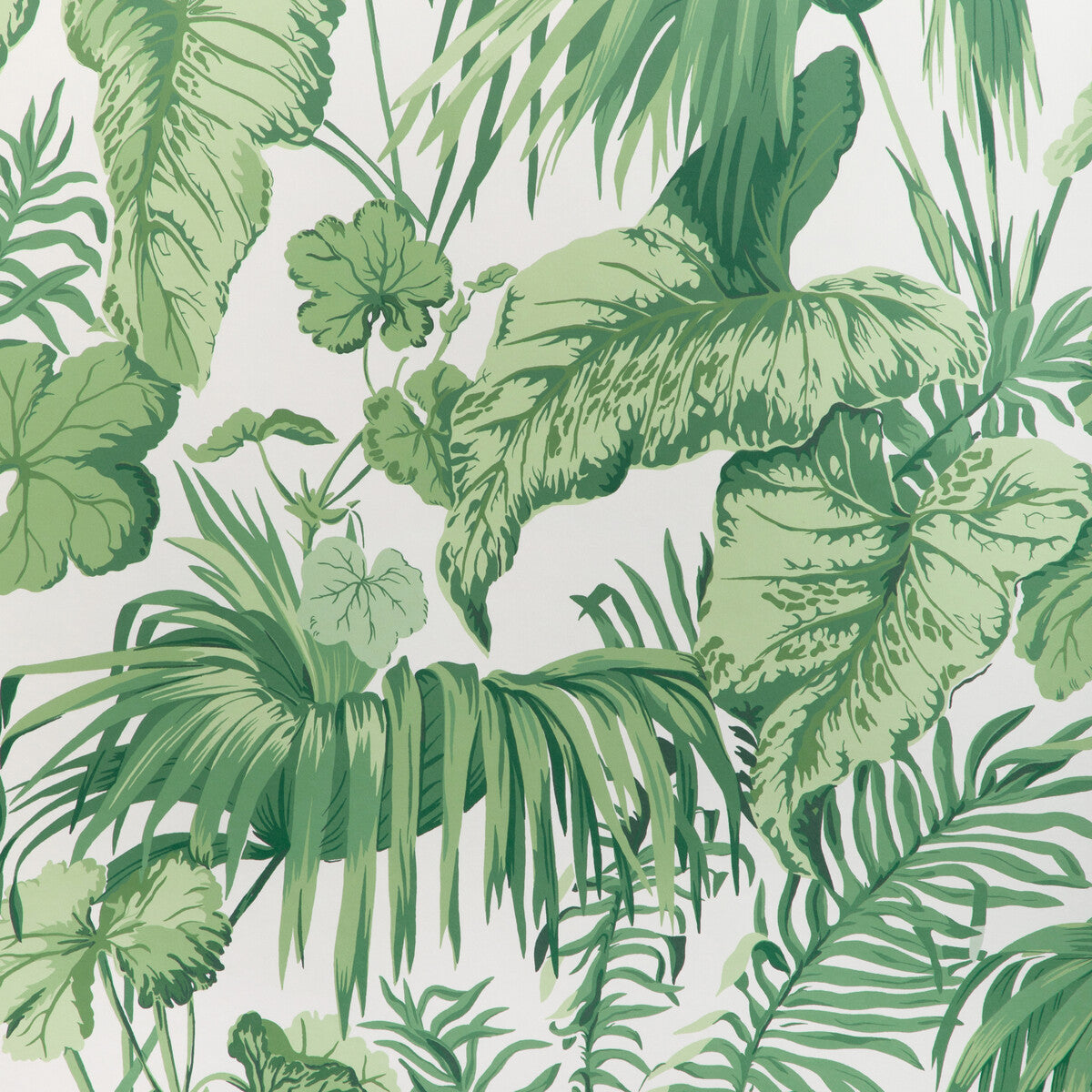 KRAVET COUTURE W4145.31.0 YASUNI WP VERDE Wallpaper - Eade's Wallpaper