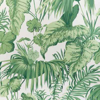 KRAVET COUTURE W4145.31.0 YASUNI WP VERDE Wallpaper - Eade's Wallpaper