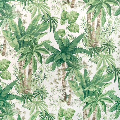 KRAVET COUTURE W4147.311.0 JUNGLEWOOD WP VERDE Wallpaper - Eade's Wallpaper