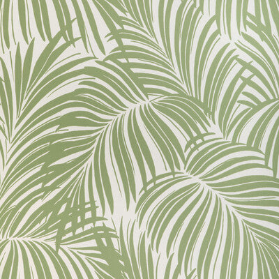 KRAVET COUTURE W4149.23.0 PALM LEAF WP VERDE Wallpaper - Eade's Wallpaper