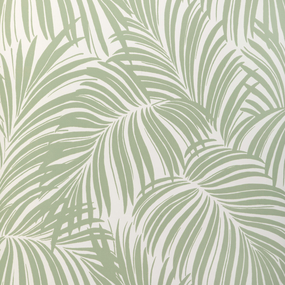 KRAVET COUTURE W4149.30.0 PALM LEAF WP LIGHT GREEN Wallpaper - Eade's Wallpaper