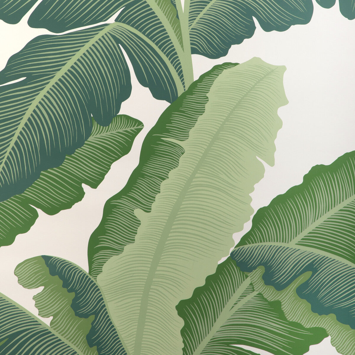 KRAVET COUTURE W4151.33.0 ISLA ROYAL WP VERDE Wallpaper - Eade's Wallpaper