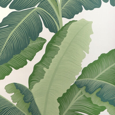 KRAVET COUTURE W4151.33.0 ISLA ROYAL WP VERDE Wallpaper - Eade's Wallpaper