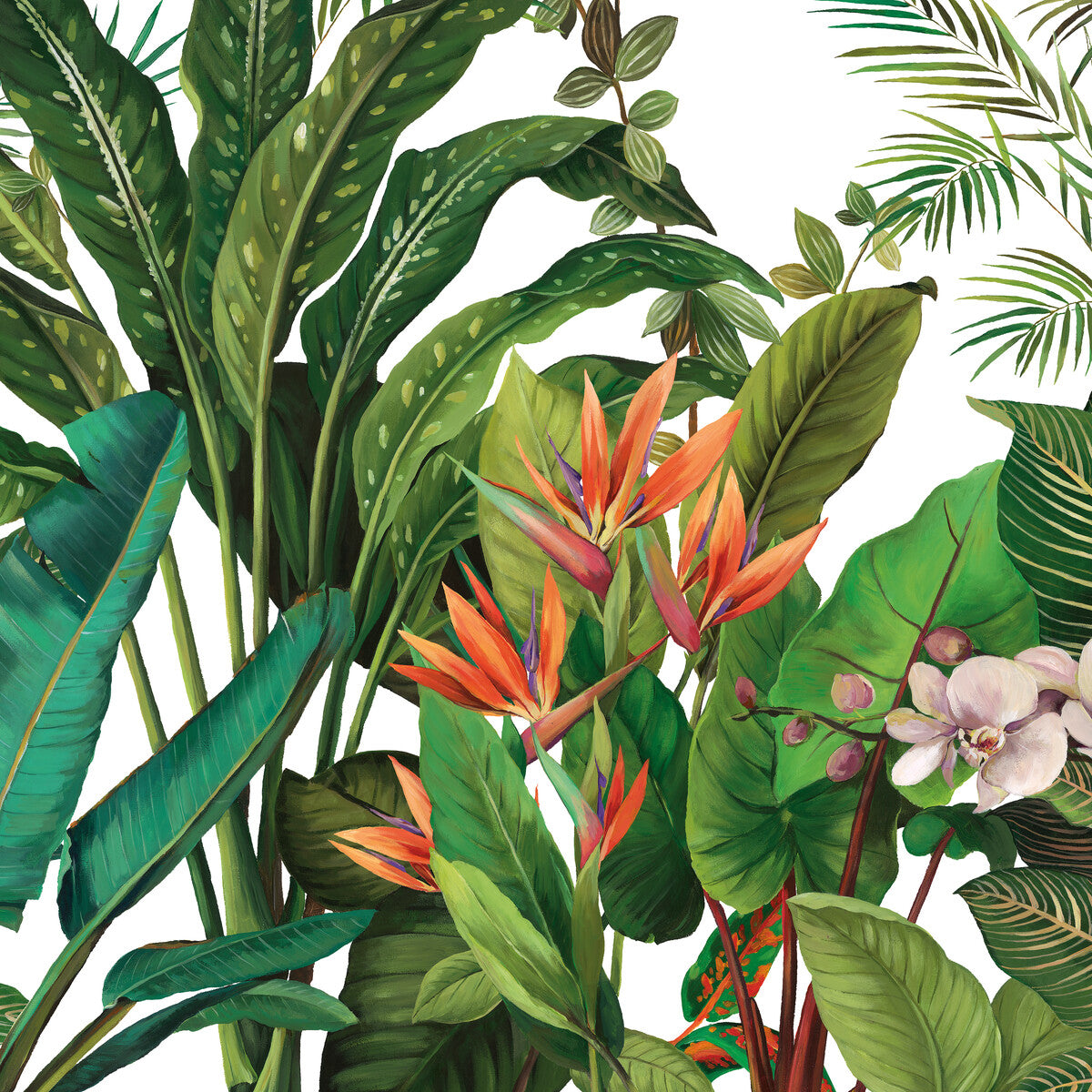 KRAVET DESIGN W4180.312.0 KRAVET DESIGN W4180-312 Wallpaper - Eade's Wallpaper