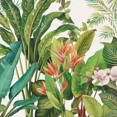 KRAVET DESIGN W4181.312.0 KRAVET DESIGN W4181-312 Wallpaper - Eade's Wallpaper